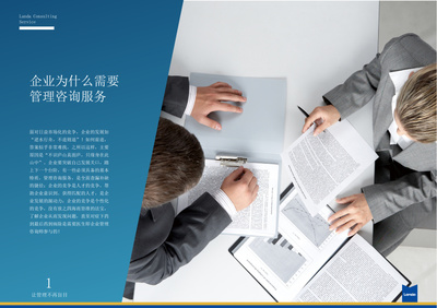 企業(yè)管理咨詢視覺形象設(shè)計(jì) S6服務(wù)產(chǎn)品手冊(cè)的藝術(shù)呈現(xiàn)