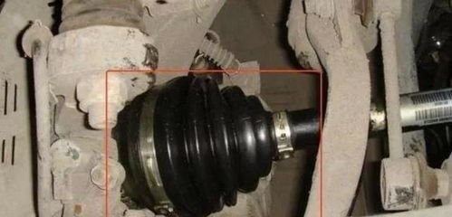 老司機忠告 這三個汽車零件越懶保養越好，過度呵護反成傷車元兇